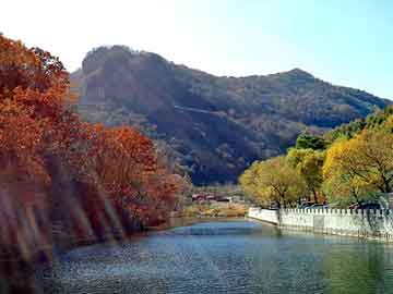 樟树产地，晴纶价格